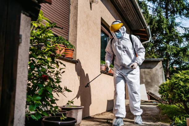 Best Pest Prevention Services  in Hinckley, IL