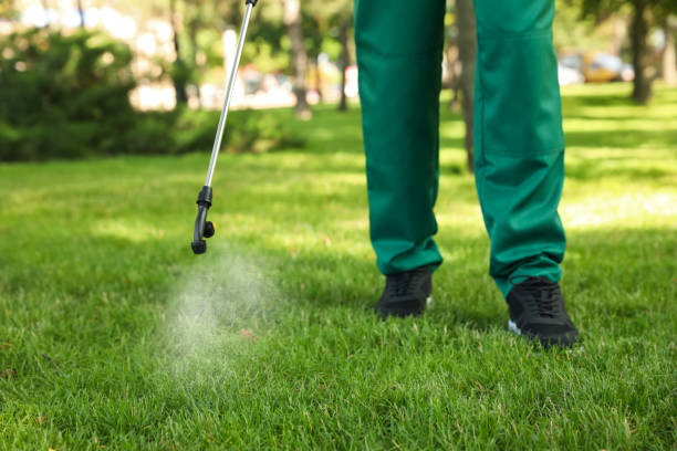 Best Bed Bug Extermination  in Hinckley, IL