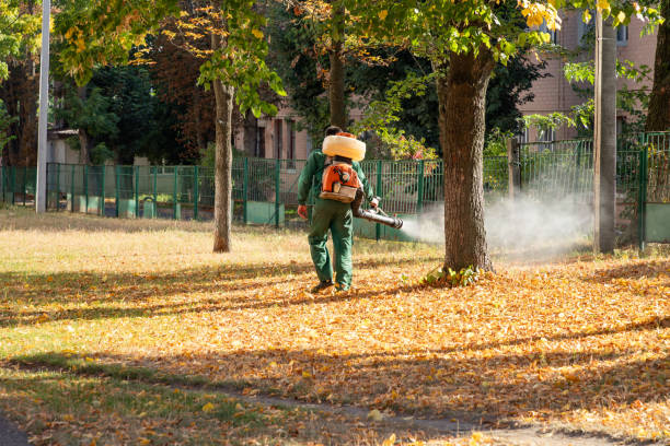 Best Local Pest Control Services  in Hinckley, IL