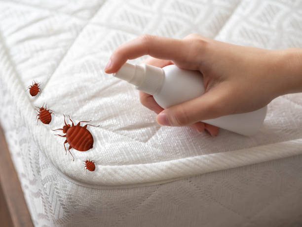 Reliable Hinckley, IL Pest Control Solutions
