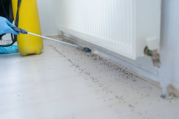 Best Pest Removal Services  in Hinckley, IL