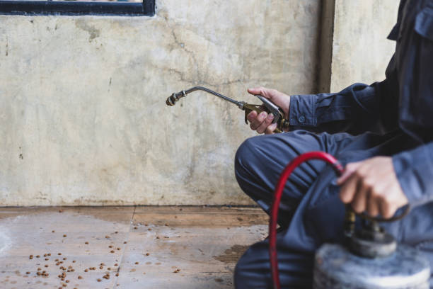 Best Affordable Pest Control Services  in Hinckley, IL