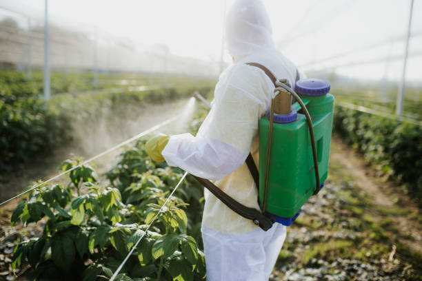 Best Bed Bug Extermination  in Hinckley, IL